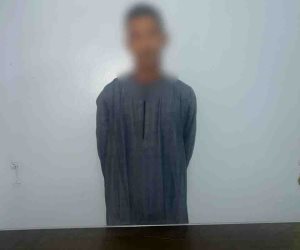 خدمات تأمين الدوائر الإنتخابية فى قنا تضبط عاطل بحوزته عدد من البطاقات الشخصية لمواطنين 