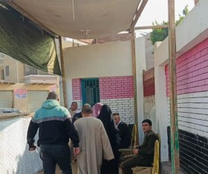 إقبال من الناخبين بقرية الصوافنة في الفيوم للإدلاء بأصواتهم في انتخابات مجلس النواب