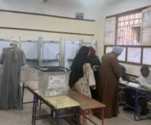 مراسل القاهرة الإخبارية: إقبال إيجابى فى الساعات الأخيرة بدوائر الجيزة