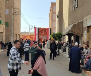 إقبال ملحوظ في دوائر البحيرة.. وانتظام العملية الانتخابية بأبوحمص وإدكو