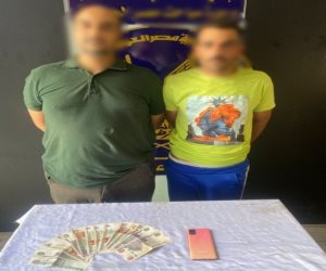 نتائج جهود الأجهزة الأمنية بالقاهرة لمكافحة جرائم السرقات