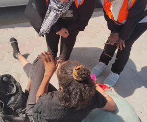 وزارة التضامن: فريق التدخل السريع تعامل مع 519 بلاغا خلال شهر