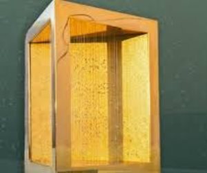 جائزة زايد للأخوّة الإنسانية تتلقى عددًا قياسيًّا من طلبات الترشيح