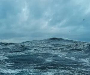 الأرصاد تكشف حقيقة تأثر مصر بالعاصفة "بايرون" وتطمئن المواطنين