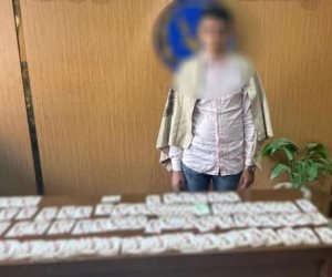 ضبط شخص بحوزته كروت دعائية لتوجيه الناخبين لصالح مرشح بالجيزة
