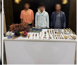 أمن القاهرة يضبط تشكيل عصابى تخصص فى سرقة الأسلاك الكهربائية من الشقق تحت الإنشاء