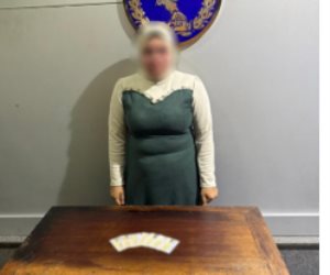 ضبط سيدة بحوزتها بطاقات شخصية للناخبين لدفعهم للتصويت في ثانى المنتزة بالإسكندرية