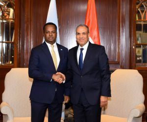 مباحثات مصرية - صومالية حول سبل تعزيز الشراكة ودعم الأمن والاستقرار