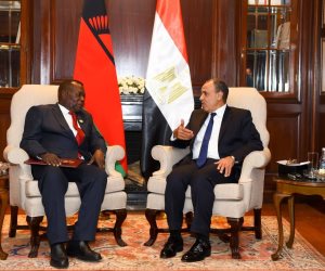 وزير الخارجية يلتقي نظيره المالاوي لبحث سبل تعزيز العلاقات الثنائية