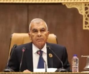 انطلاق الجلسة العامة لمجلس الشيوخ لمناقشة تعديلات قانون الكهرباء