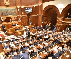 نائب بالشيوخ: الاعتراف بكيانات انفصالية في القرن الأفريقي يهدد التنمية ويعيد إنتاج الصراعات الإقليمية