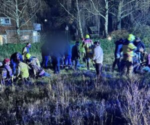 هولندا: إصابة 10 أشخاص فى حادث دهس بمدينة نونسبيت