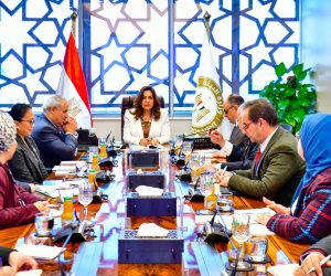 وزيرة التنمية المحلية والقائم بأعمال وزير البيئة تبحث التعاون المشترك مع منظمة الفاو في تنفيذ مشروعات بيئية ذات بعد اجتماعي مستدام