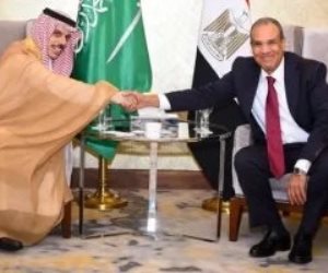 وزيرا خارجية مصر والسعودية يستعرضان جهود تثبيت وقف إطلاق النار فى غزة