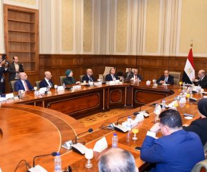 "بين التشريع والدبلوماسية".. وزير الخارجية أمام "شيوخ مصر": إطلاق استراتيجية حقوق الإنسان (2026-2031) قريباً