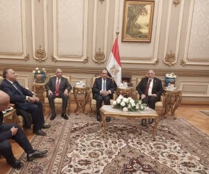 وزير الخارجية: سنرد بالقانون الدولى على أى ضرر من سد النهضة