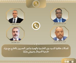 مصر وتركيا وجيبوتى والصومال يؤكدون الرفض التام لاعتراف اسرائيل باقليم أرض الصومال