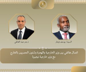 اتصال هاتفي بين وزير الخارجية ونظيره النيجيري لبحث تطورات الأوضاع الاقليمية