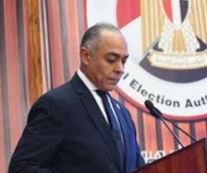 31 شكوى باليوم الأول من جولة الإعادة فى الـ19 دائرة الملغاة بانتخابات النواب