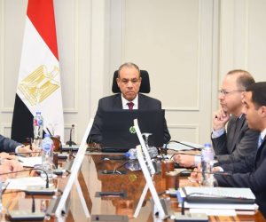 وزير الخارجية يستعرض الرؤية المصرية لتحقيق السلام والتنمية في شرق الكونجو الديمقراطية والوضع في الصومال