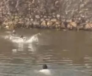 شهيد الشهامة.. شاب يفقد حياته خلال محاولة إنقاذ شخصين من الغرق