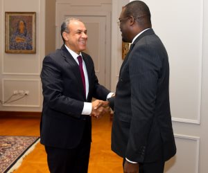 وزير الخارجية يؤكد دعم مصر لتعزيز منظومة الصحة والأمن الدوائي في أفريقيا