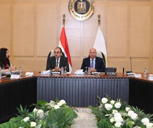 وزير الصناعة والنقل يبحث مع وزير قطاع الأعمال ومصنعي الغزل والنسيج والملابس الجاهزة تعميق التصنيع المحلي