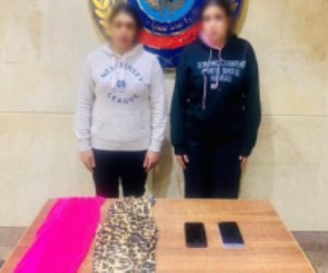 ضبط 5 أشخاص لممارسة الفجور والأعمال المنافية للآداب بالجيزة والإسكندرية