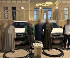 نجاح جهود أجهزة الأمن بالقاهرة في مكافحة جرائم السرقات وضبط مرتكبيها