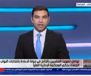 رئيس الجالية المصرية بفرنسا: المصريون بالخارج حريصون على أداء دورهم الوطنى