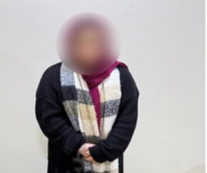 ضبط سيدة من المنصورة للاحتيال على المواطنين عبر السوشيال ميديا
