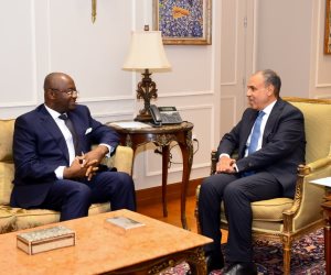 وزير الخارجية يستقبل رئيس البنك الأفريقي للتصدير والاستيراد