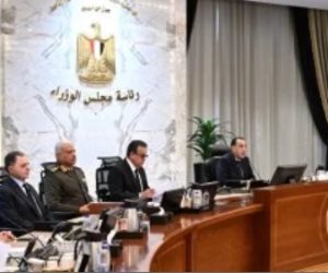 مجلس الوزراء يوافق على 13 قرارا هاما.. تعرف عليها