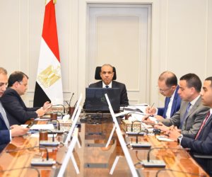 وزير الخارجية يؤكد دعم مصر الكامل لوحدة وسيادة الصومال أمام مجلس السلم والأمن الأفريقي