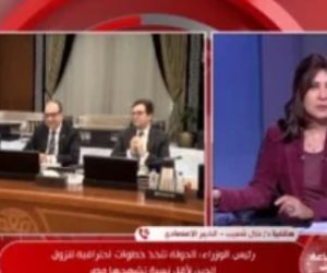 خبير: نسبة الدين فى الحدود الآمنة واستقرار سعر الصرف يعكس تحسن الاقتصاد