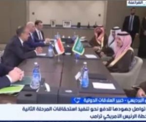 خبير دولي: التنسيق المصري السعودي صمام أمان للأمن القومي العربي