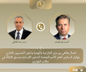 عبد العاطي للأمم المتحدة: مصر تطالب برفع العوائق أمام جهود إغاثة غزة وتوفير المنازل المتنقلة وتسريع التعافي المبكر