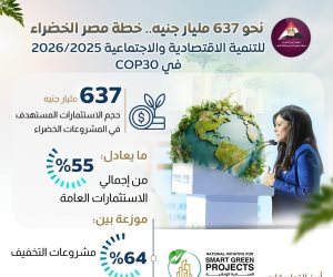 637 مليار جنيه لخطة مصر الخضراء للتنمية الاقتصادية والاجتماعية 2025-2026.. «الوزراء» يقر تمويل الوكالة الفرنسية 