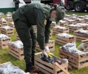 حدث  فى الأرجنتين.. .. كلب يكشف31 كيلو من مخدر الكوكايين داخل الباذنجان