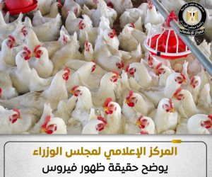 مجلس الوزراء يكشف حقيقة ظهور فيروس أنفلونزا الطيور بالمزارع المصرية