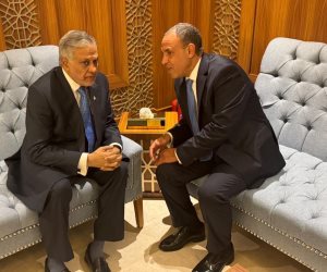 وزير الخارجية مصرى ونظيره الباكستاني يبحثان تطورات الأوضاع الإقليمية