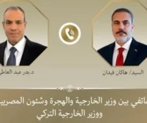 اتصال هاتفي بين وزير الخارجية ونظيره التركي لبحث مستجدات القضايا الإقليمية