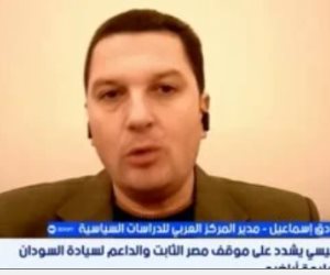 مدير المركز العربي للدراسات السياسية: مصر حلقة وصل حيوية بين العرب وأمريكا