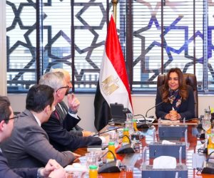 وزيرة التنمية المحلية توجه بالانتهاء من دراسة تقييم الأثر البيئي لمشروع توليد الكهرباء من الرياح بالبحر الأحمر