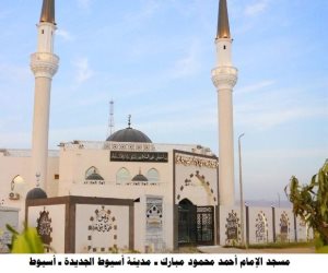 الأوقاف تفتتح 48 مسجدًا الجمعة وتعلن وصول إجمالي الإعمار إلى 13 ألفًا و971 مسجدًا بتكلفة 24.8 مليار جنيه