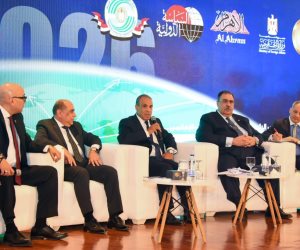وزير الخارجية يشارك في ندوة مجلة السياسة الدولية حول حصاد السياسة الخارجية المصرية لعام 2025