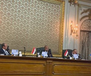 وزير الخارجية ردا على تساؤل «صوت الأمة»: مصر شريك وضامن أساسي لاستقرار غزة والولايات المتحدة تضطلع بدور الضامن الدولي