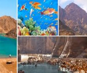 تفاصيل تطبيق منظومة ذكية لإدارة المخلفات بمحميات مصر