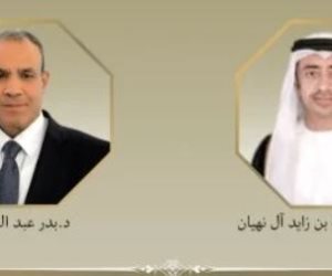 وزير الخارجية يبحث مع نظيره الإماراتي عددًا من القضايا الإقليمية