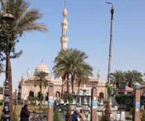 ليالي الذكر والمرماح والتحطيب.. قنا تحتفل بأكبر موالدها في مولد سيدي عبد الرحيم